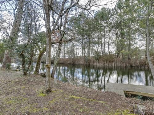 Maison Biscarrosse 3 pièces 4 personnes - FR-1-521-60 - image 2