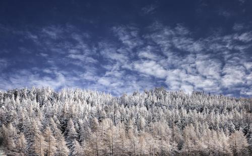 Smarthotel Bergresidenz - image 11