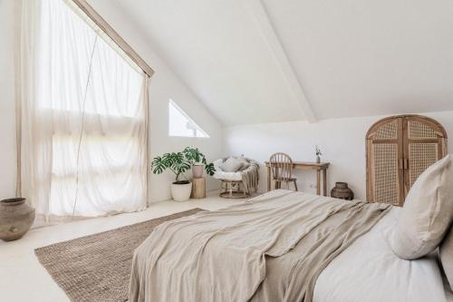 Suite, junior