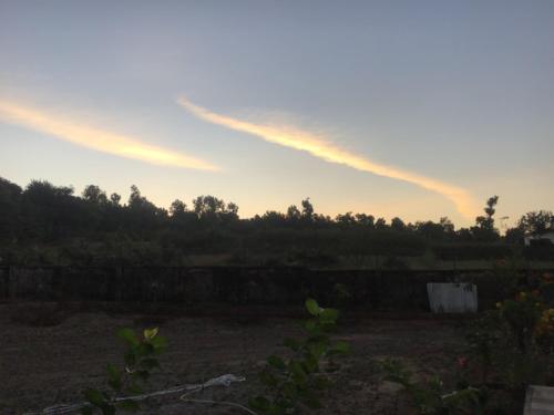 PRITHVI FOREST HOMESTAY - image 3