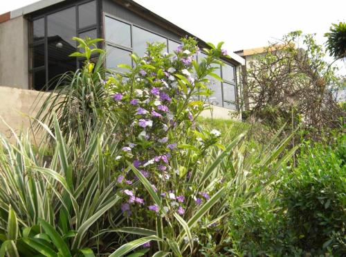 ทัศนียภาพภายนอกโรงแรม, Ezweni Lodge in อัมห์ลังการ็อค