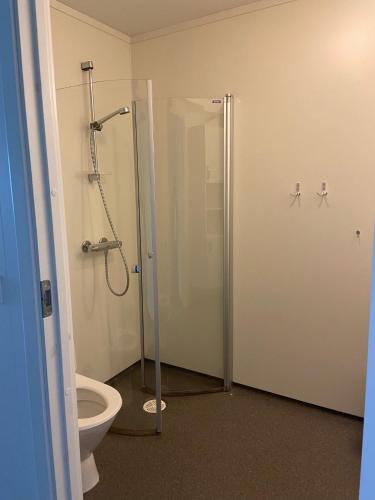 Molde Vandrerhjem Hostel - image 6