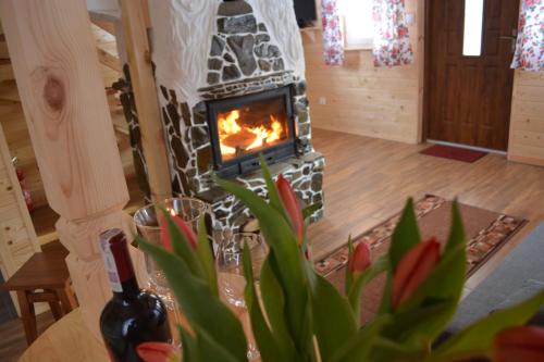 Domki nad Ripką obrázok