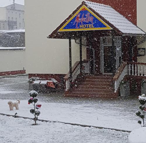 Hotel Medaillon - image 5