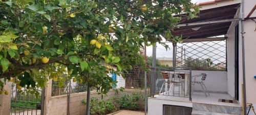 Melina's comfort rustic home