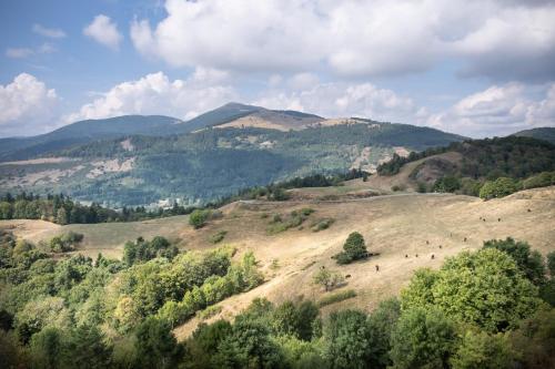 Huttopia Forêt des Vosges