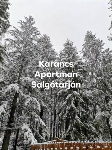 Karancs Apartman Salgótarján