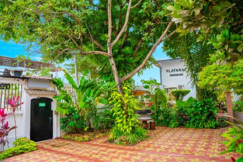 Garden, Hotel Boutique Platanal in Portoviejo