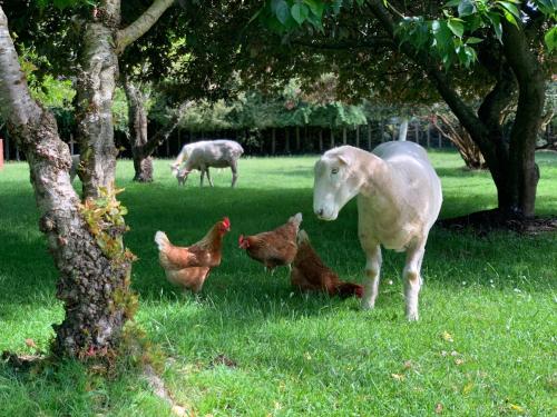 Cliff Top Cottage in ฮันเตอร์วีลล์