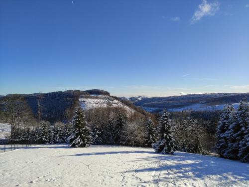 Appart-Hotel Harmonie - image 8