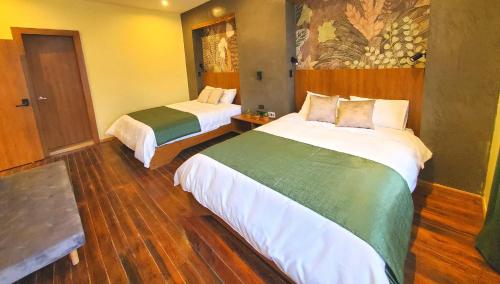 2 queen beds, 2 sofa beds