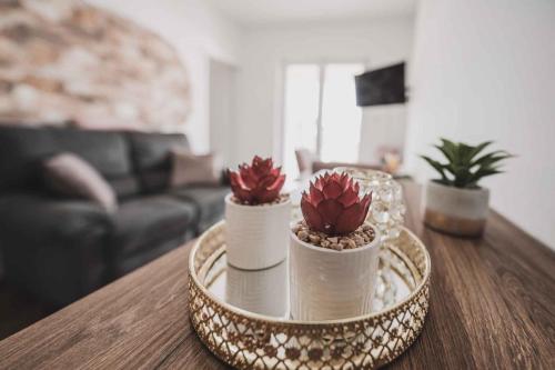 Apartment image 2