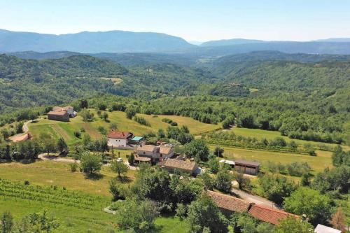 Apartment in Gradinje - Istrien 43268