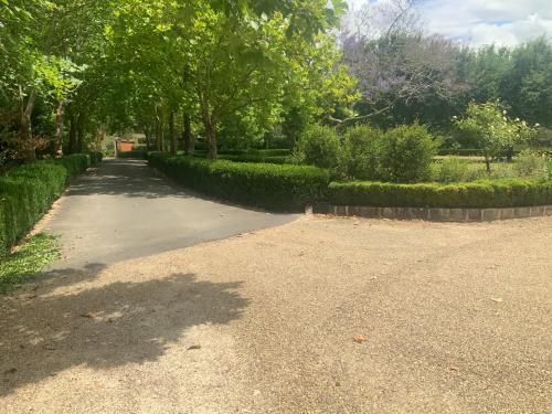Pool Queen Bedroom Suite