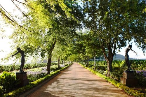 Delaire Graff Lodges and Spa Delaire Graff Lodges and Spa