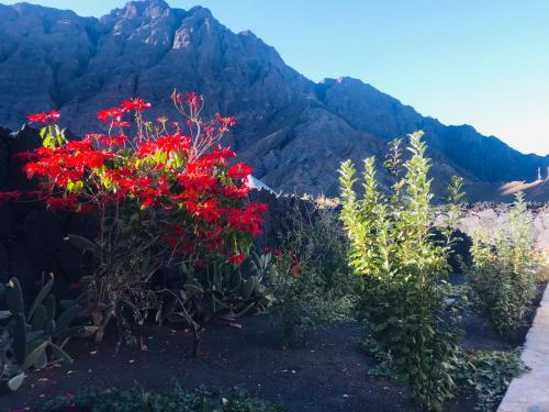 Umgebung, Pensão Repouso Alegre Turismo e Aventura (Pensao Repouso Alegre Turismo e Aventura) in Portela