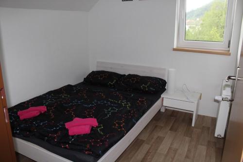 Apartmán Rapotín, Jesenická 296