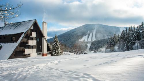 View, Wellness Hotel Sedy Vlk in Harrachov