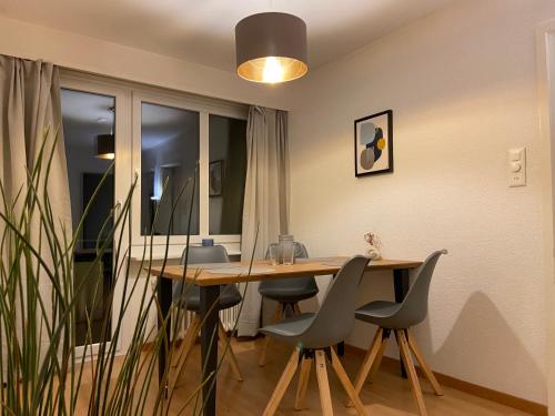 Comfort 1 and 2BDR Apartment close to Zurich Airport 3