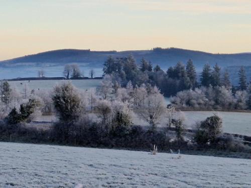 Suir Valley Cottage. in Ballymacarbry