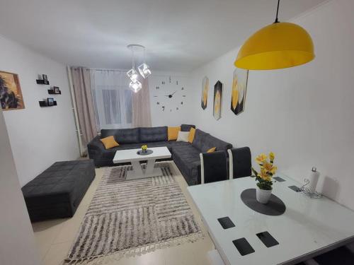 Spacious Apartment in Novi Sad