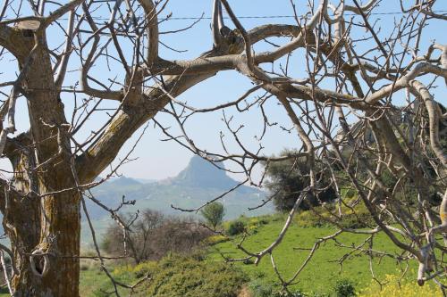 Bed and Breakfast Padalino in Mussomeli