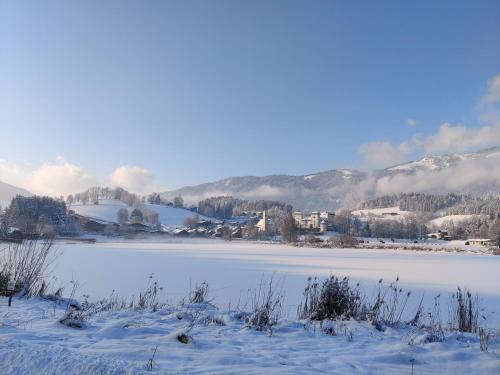 Marktlhaus Goldegg Marktlhaus Goldegg