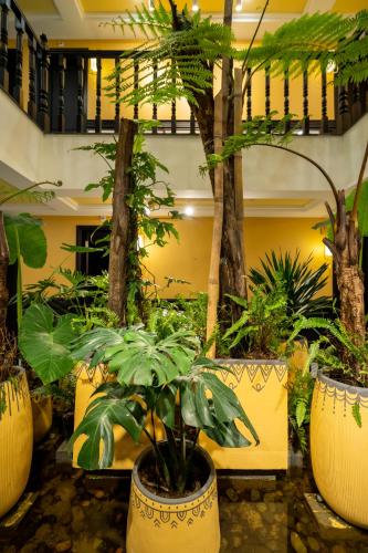 414004927 Hoianan Boutique Hotel