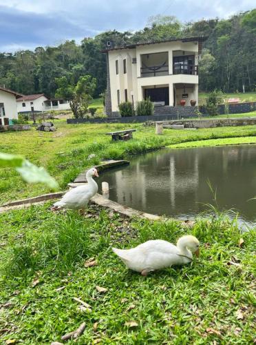 Chalé em Pousada Recanto MD