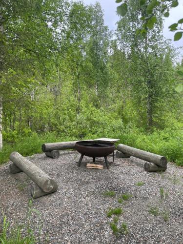 Surrounding environment, Yllastokka 10 in Yllasjarvi