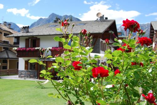 Chalet Gardenia - image 9