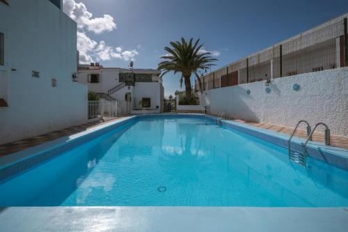 The Little Jewel with Ocean View - Las Americas 4