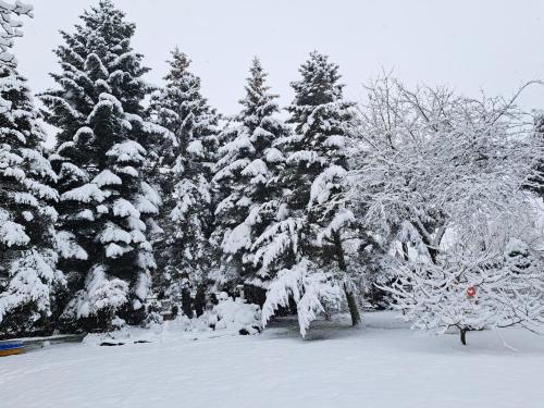 Dom Gościnny Krystyna - ENERGYLANDIA, SPYTKOWICE, ZATOR