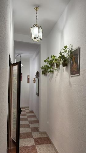 Vallaindiano, Córdoba (fotografie 8)