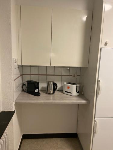Comfort 1 and 2BDR Apartment close to Zurich Airport, Curych (fotografie 7)
