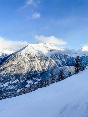 Alpenheim Simone - image 11