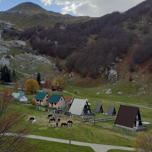 Katun Mokra accommodation & horseback riding