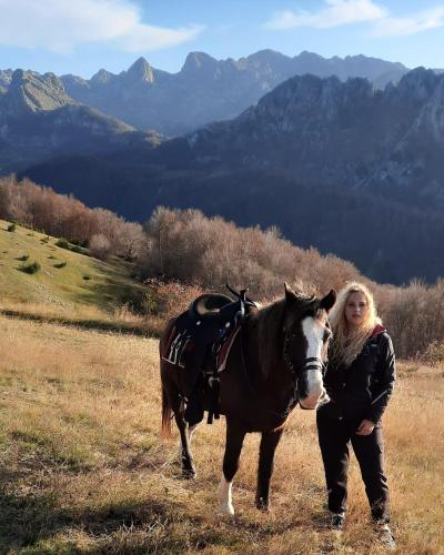 Katun Mokra accommodation & horseback riding