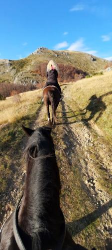 Katun Mokra accommodation & horseback riding