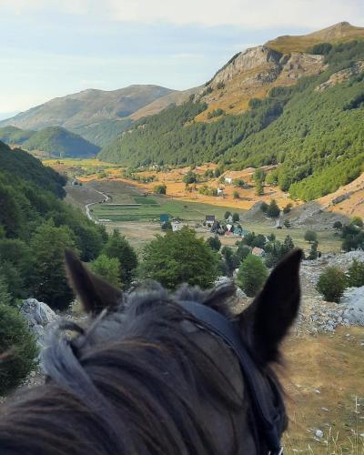 Katun Mokra accommodation & horseback riding