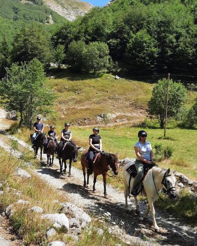 Katun Mokra accommodation & horseback riding