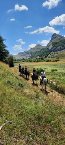 Katun Mokra accommodation & horseback riding