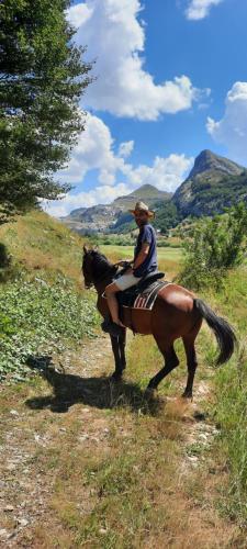 Katun Mokra accommodation & horseback riding