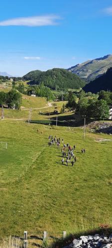 Katun Mokra accommodation & horseback riding