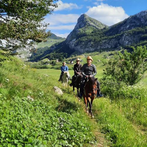 Katun Mokra accommodation & horseback riding