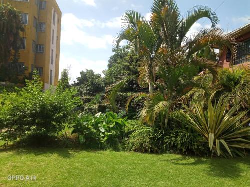 Royal pine cottage hotel, Ruiru