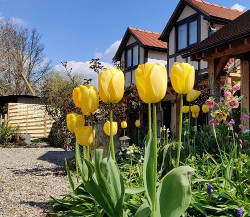 Delightful & Picturesque Modern Detached Apartment, Next to Chester Zoo, Near Park and Ride to City Centre, Chester (fotografie 2)