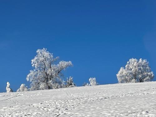 Appartementanlage Kerber Seefeld