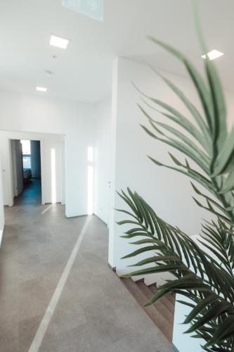 Hotelli välisilme, City Rooms Amstetten in Amstetten