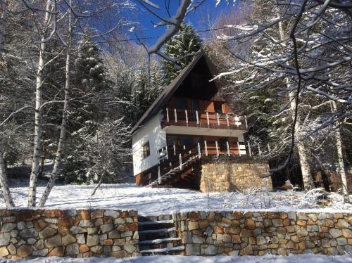 Forest Villa